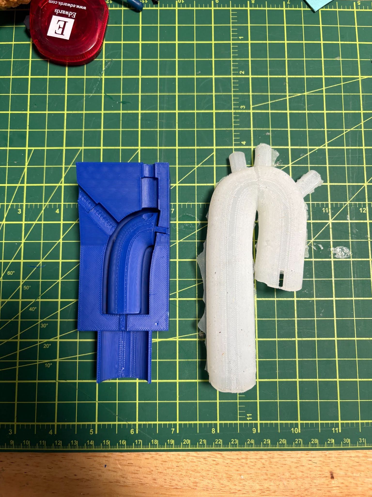 Prosthetic for Pismo